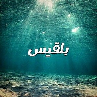 آشپزی بلقیس
